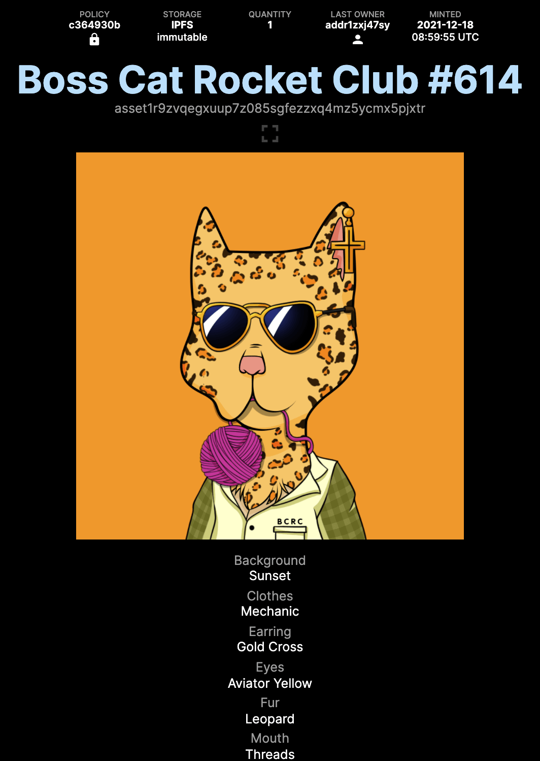 Boss Cat Rocket Club